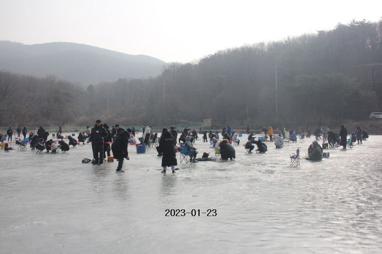 2023/01/23 조황정보